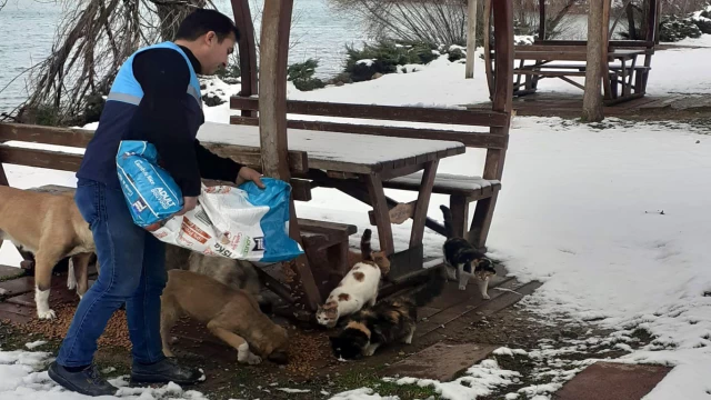 Malatya'da sokak hayvanları açlığa terk edilmedi