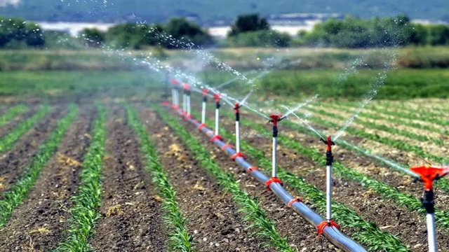 Tarımsal destekleme ödemesi hesaplara yatırıldı