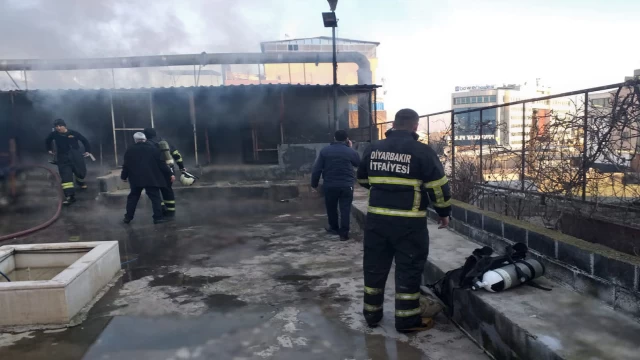 Diyarbakır'da çıkan yangında 300 güvercin telef oldu