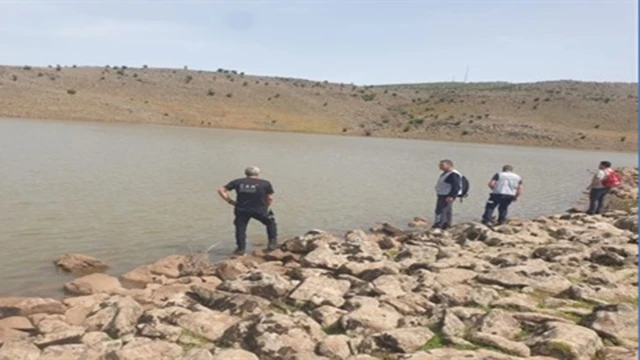 Diyarbakır'da bir çoban kayboldu! Arama çalışmaları başlatıldı