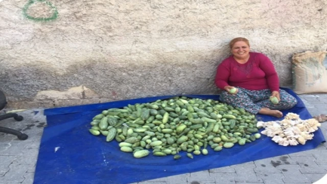 Girişimci Urfalı kadın mücadelesini sürdürüyor