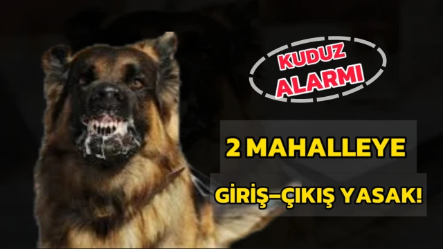 Kuduz alarmı: 2 mahalle karantinaya alındı