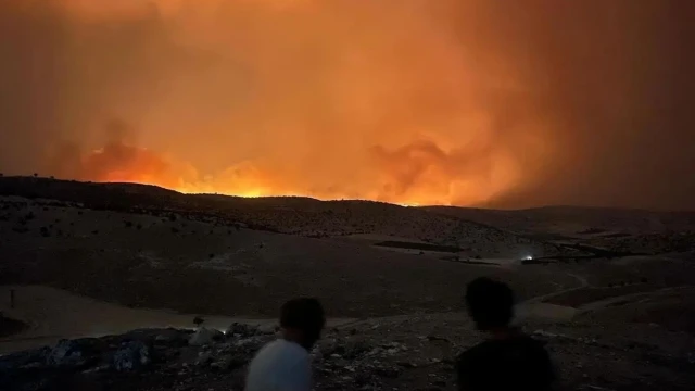 Diyarbakır ve Mardin'deki yangında bine yakın hayvan telef oldu, binlerce dönüm yandı