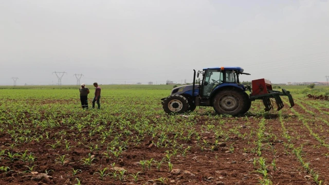 Destek ödemeleri çiftçilerin hesaplarına yatıyor